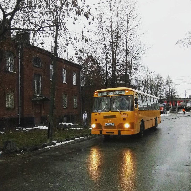 5887282e79902.jpg