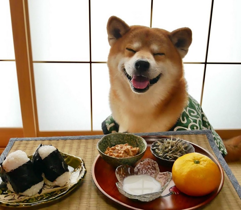 588888754caff.jpg