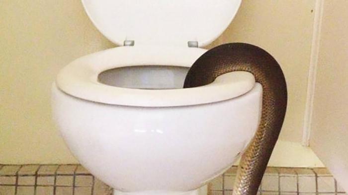 5891cfb6903ee.jpg