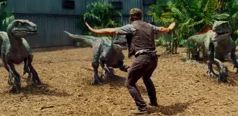 58997d7f27043.gif
