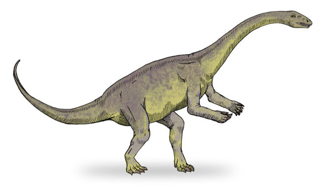58997da8010a5.png