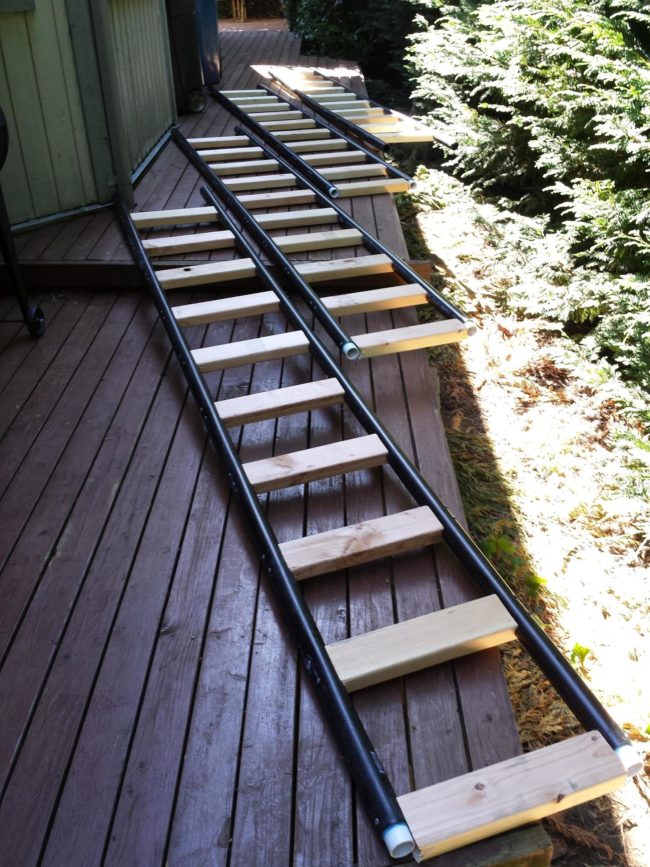 589988459f7c3.png