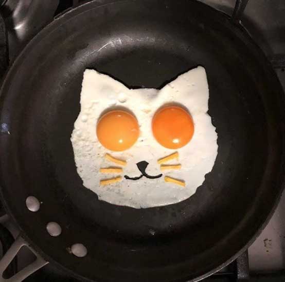 блюдо-из-яиц-котик