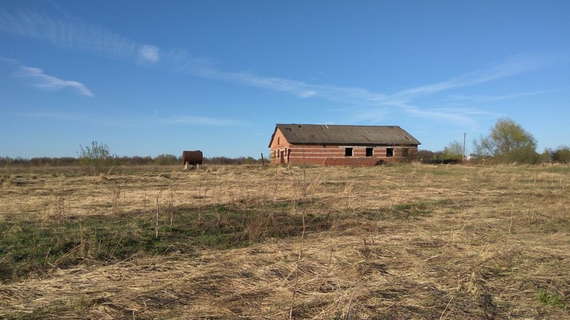 Dombart.ru_5922da6166700.jpg
