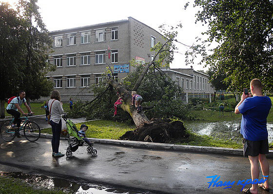 Dombart.ru_5971d61a664ba.jpg