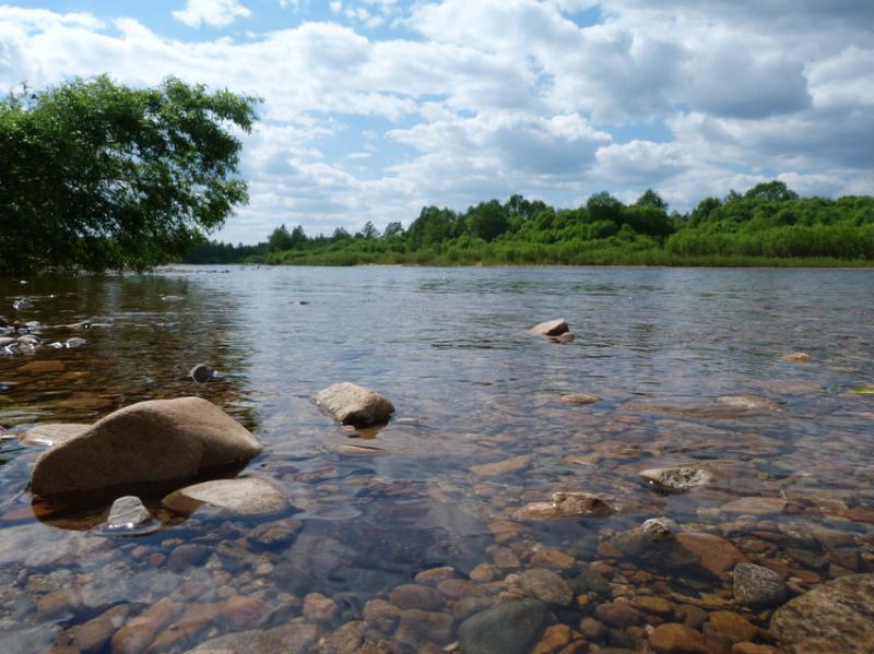 Dombart.ru_594d0bb1abd7a.jpg