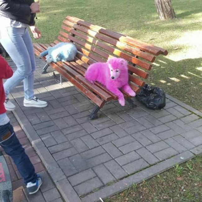 Dombart.ru_59522d8e36084.jpg