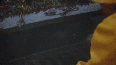 lifebuzz-355d3d347984a4bef2c46875faa0d8dc-original.gif