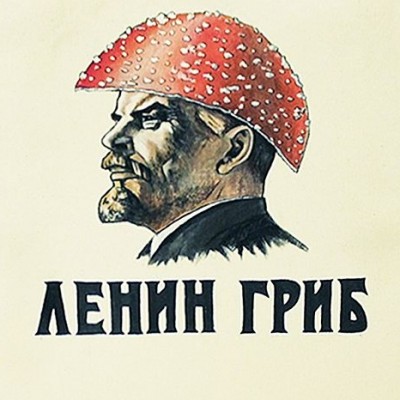 Dombart.ru_59413e4842e1a