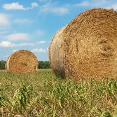 Dombart.ru_58ff6e2ede468